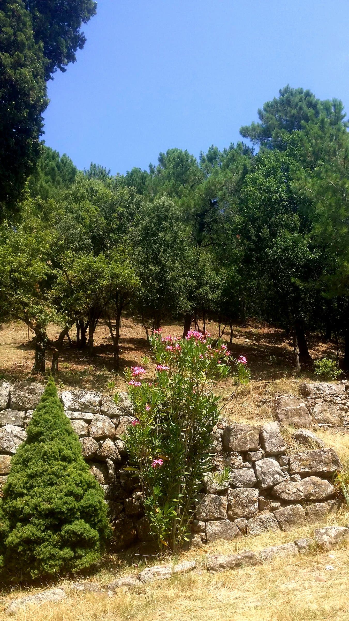 Mas de Montgros à Banne, Ardèche — photo 3 sur 24